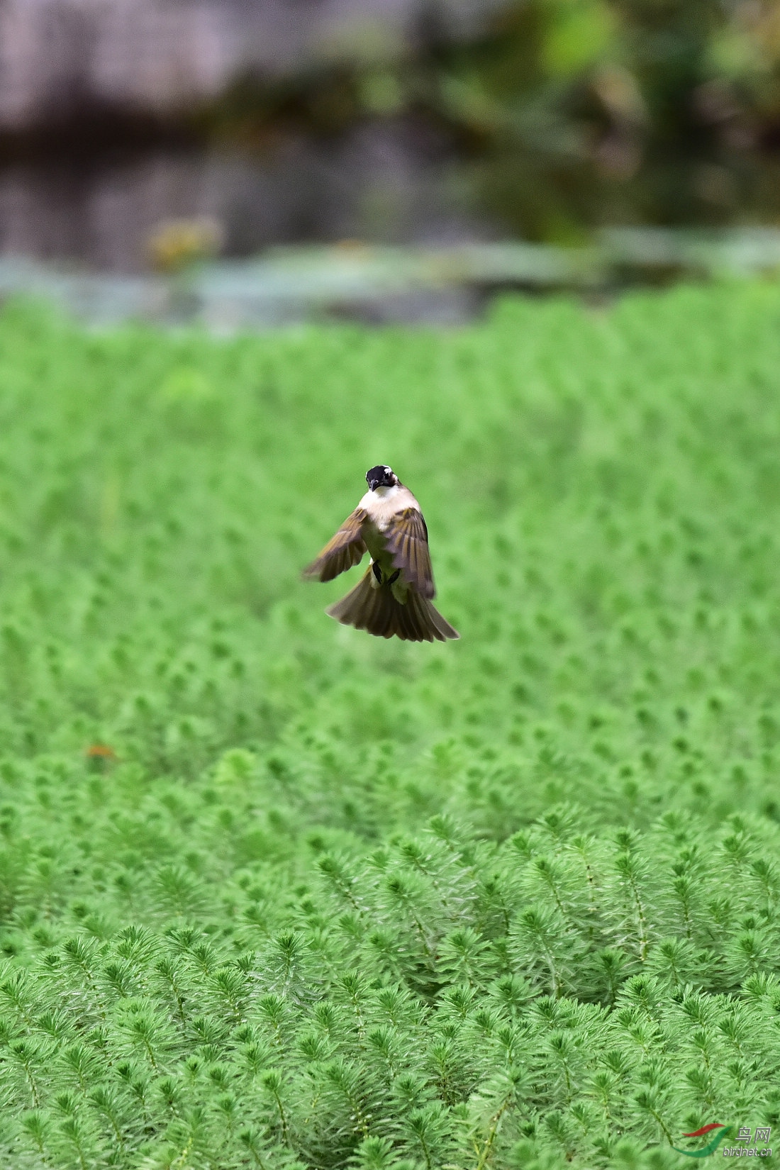 DSC_8836.JPG