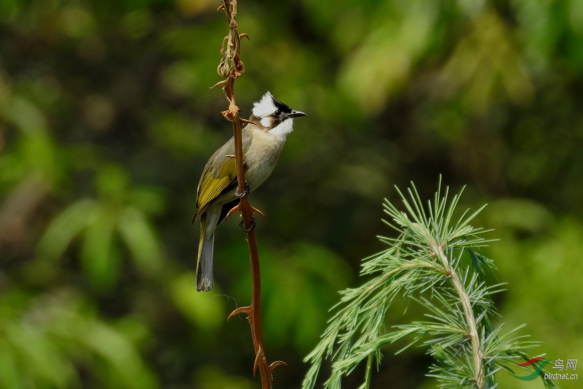 DSCN8857.JPG