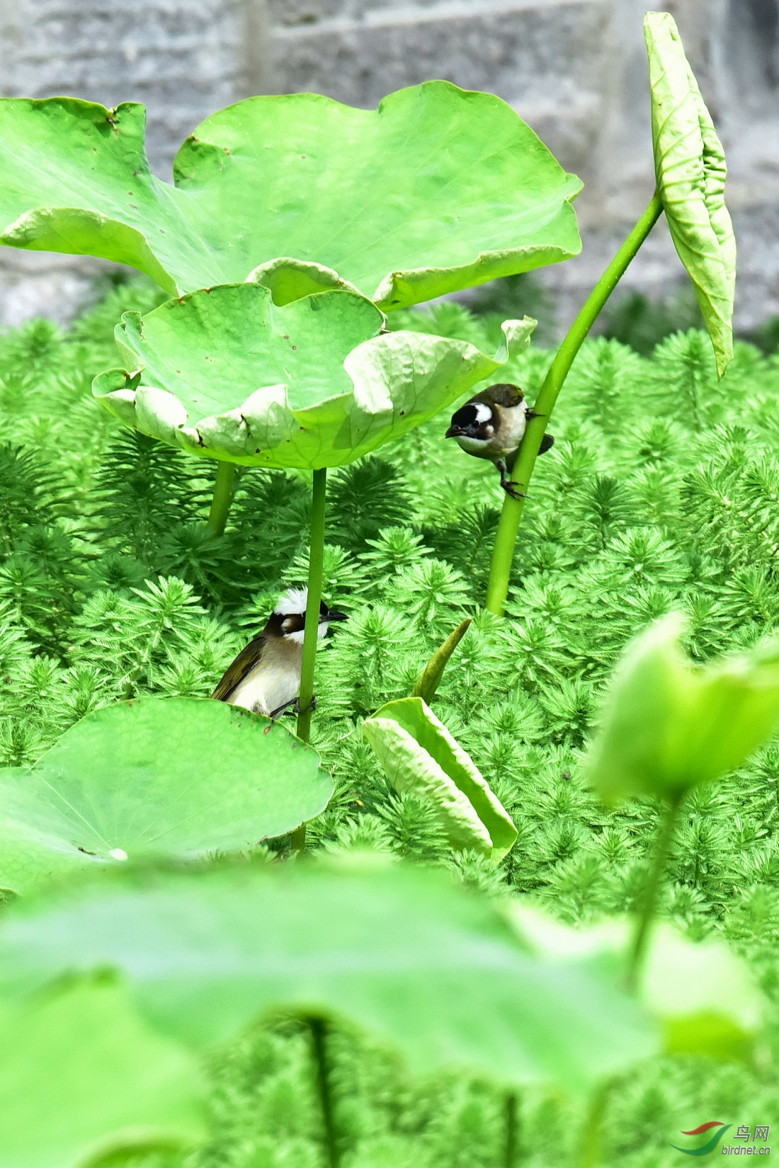 DSC_8501.JPG