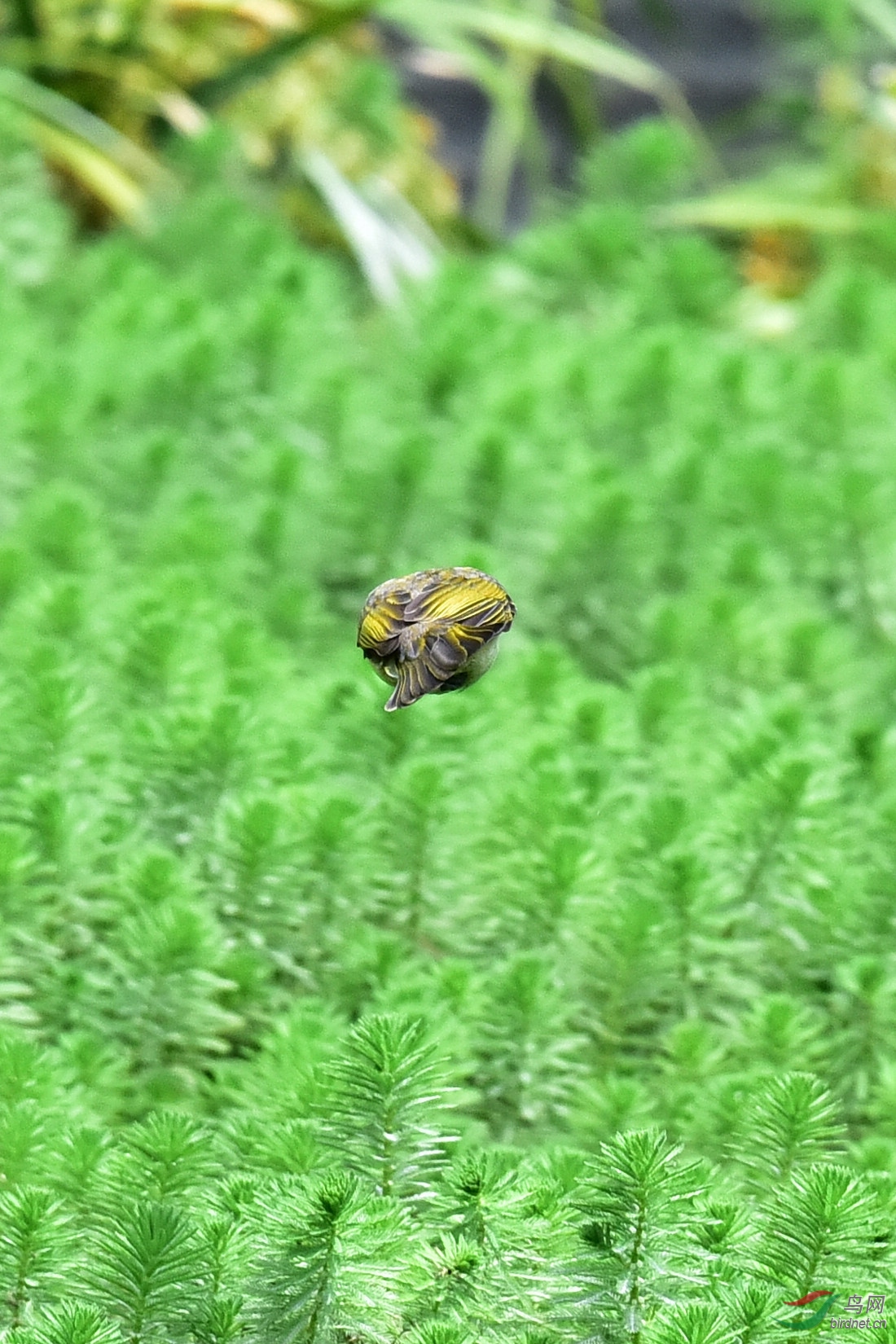 DSC_8463.JPG