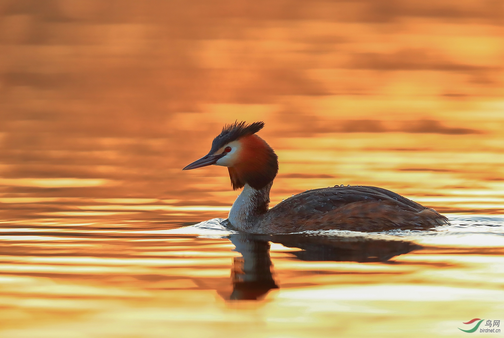 赤羽丹霞满江红
