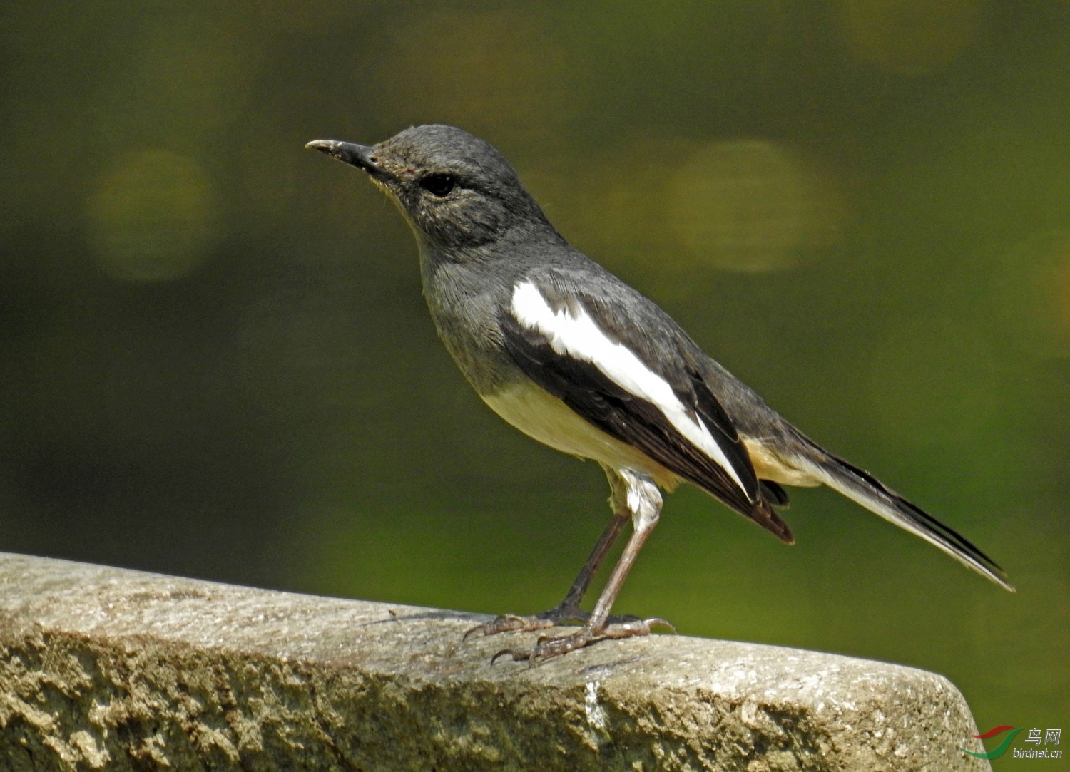 DSCN6356 ����.jpg