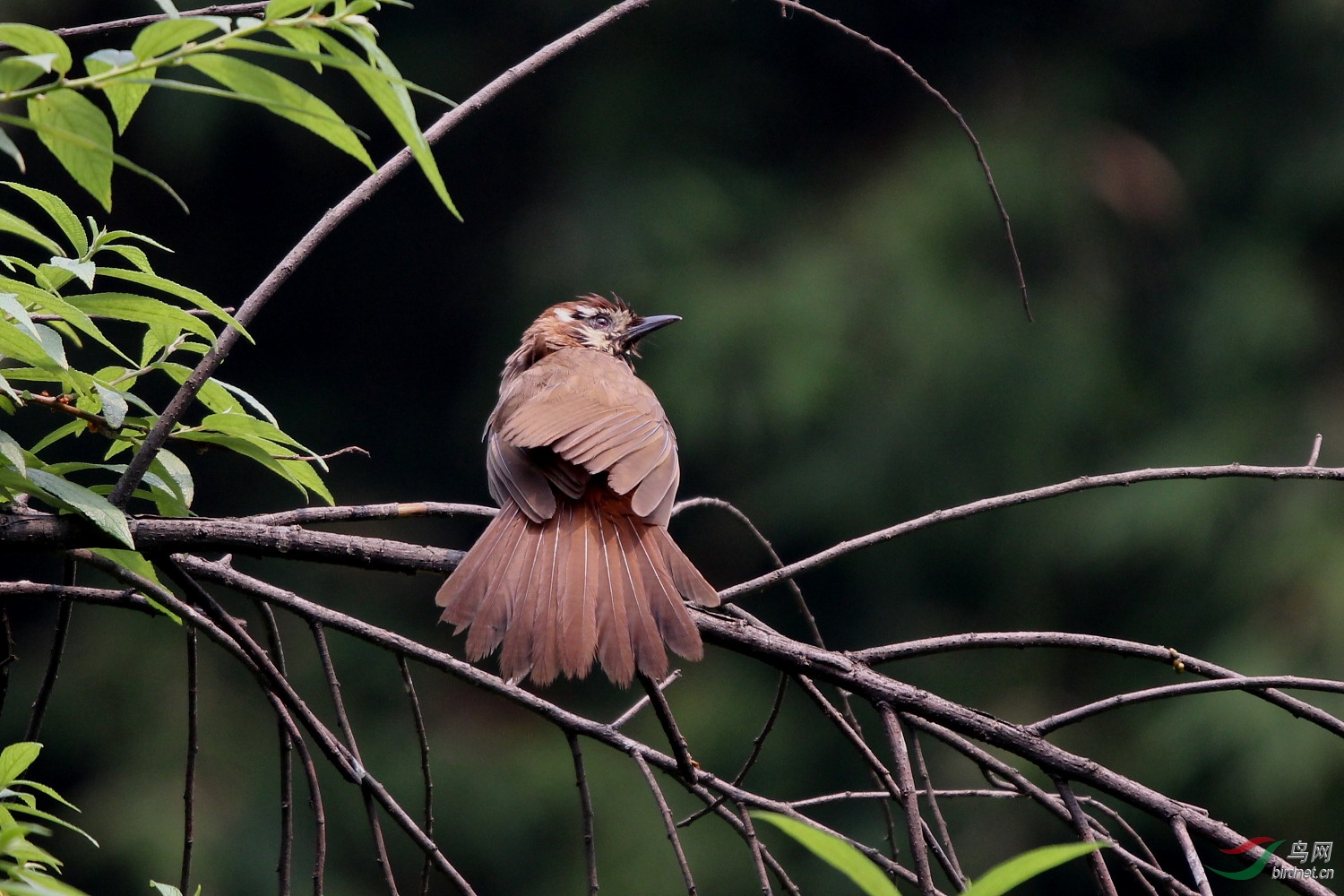 ����16��