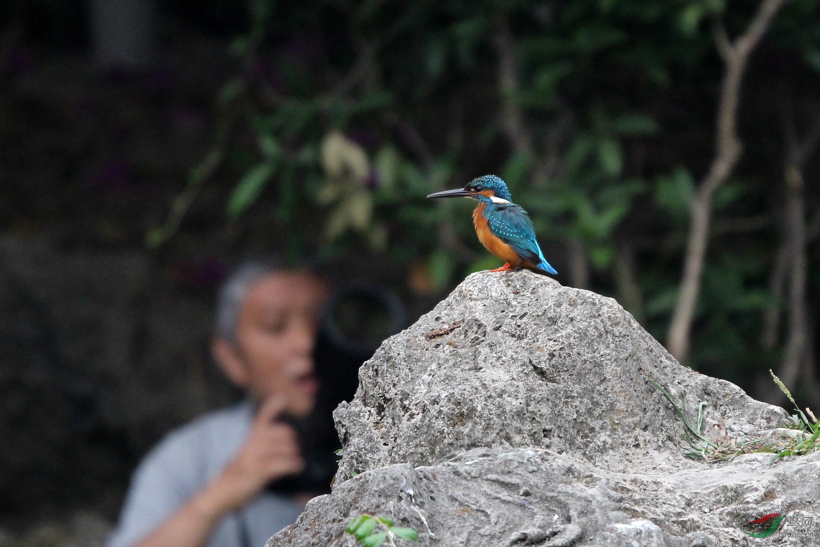 IMG_8379.JPG