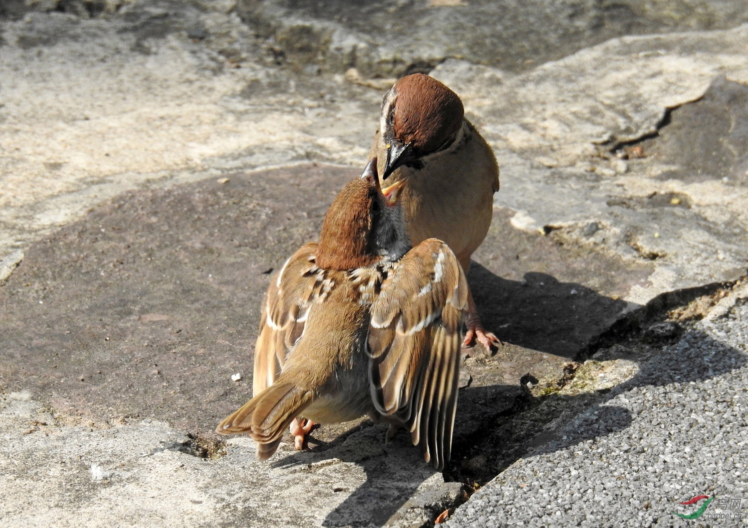 DSCN6723 ����.jpg