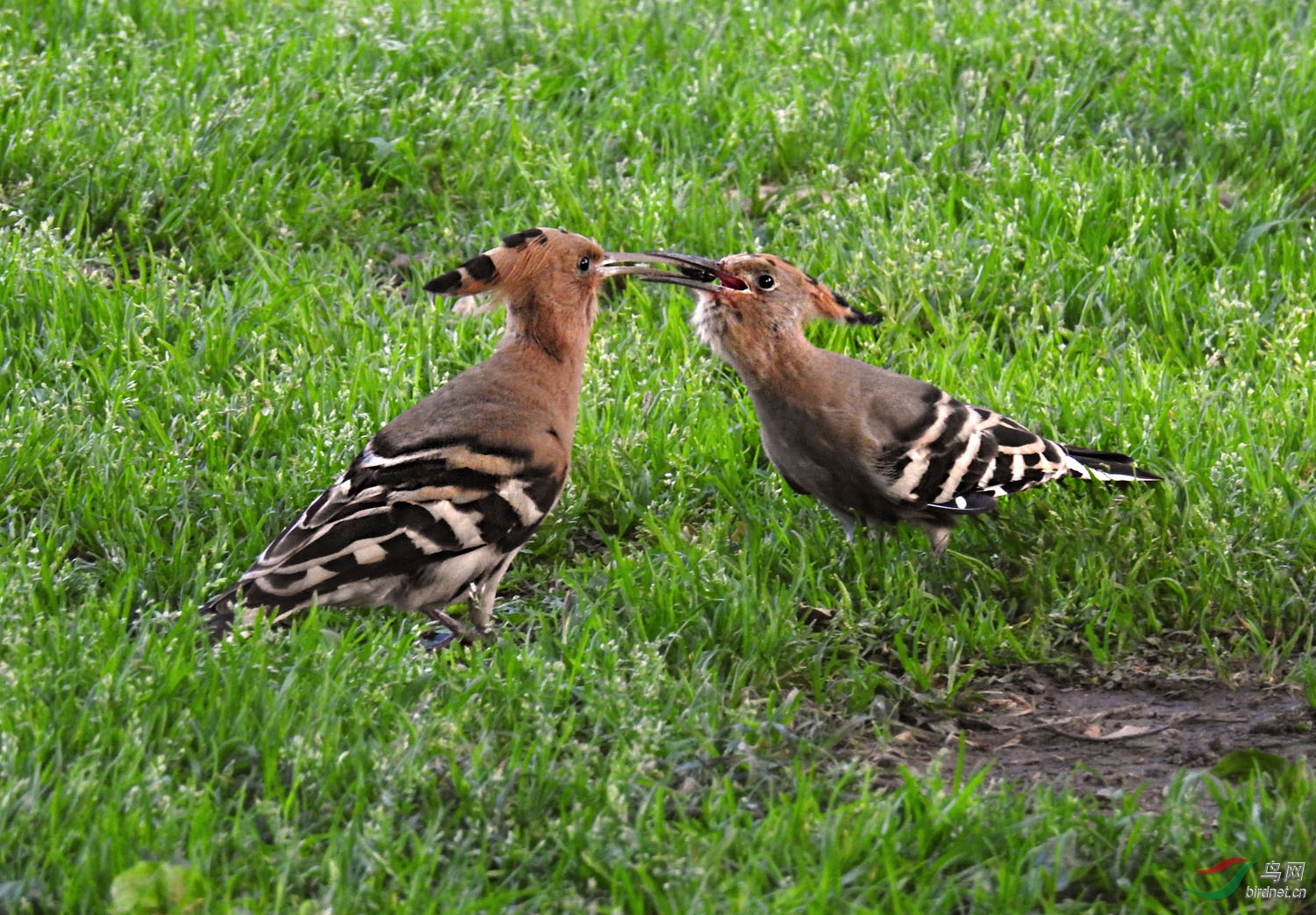 DSCN6954 ����.jpg