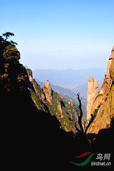 三青山丛立的山峰