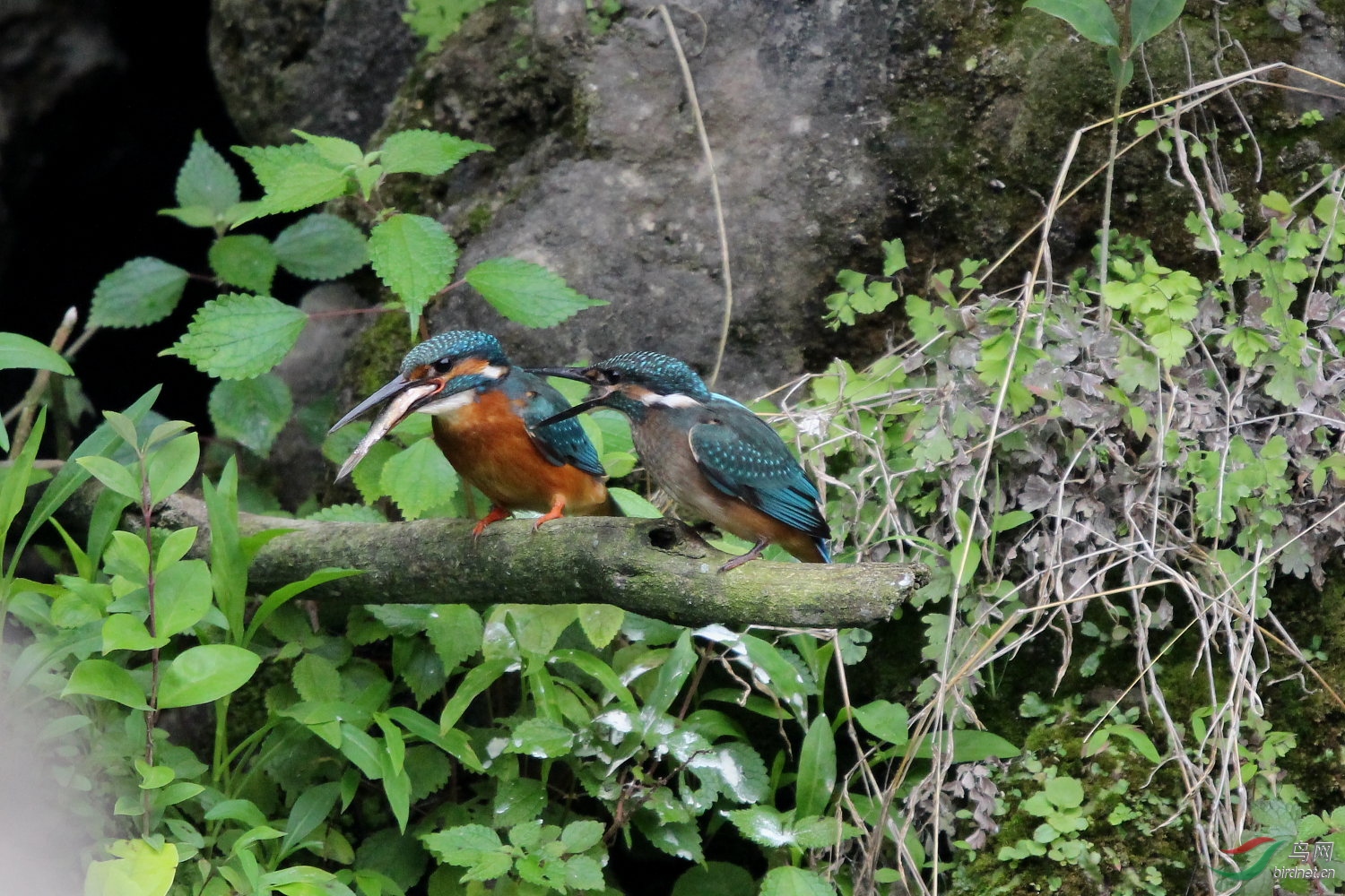 IMG_8452.JPG