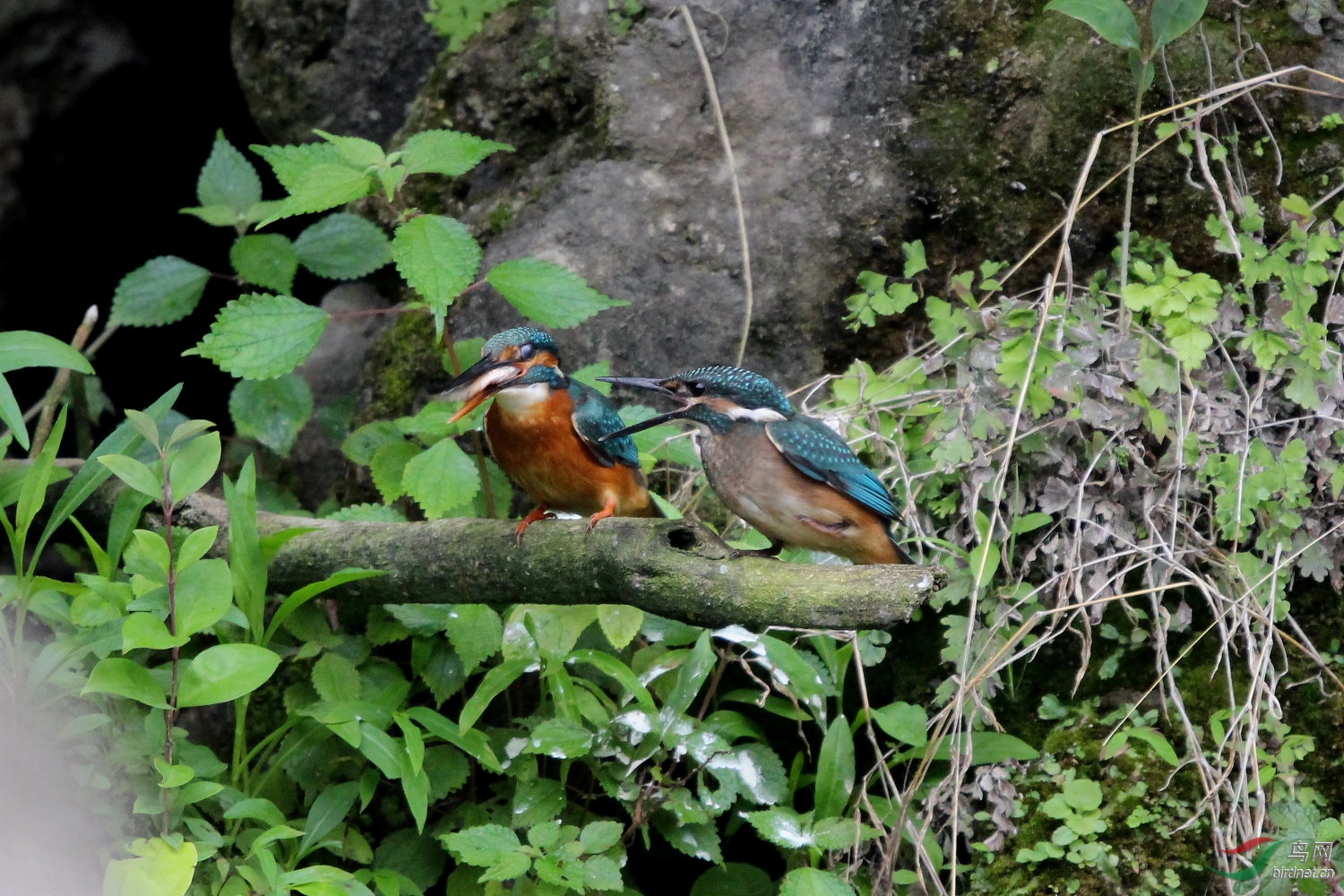 IMG_8451.JPG