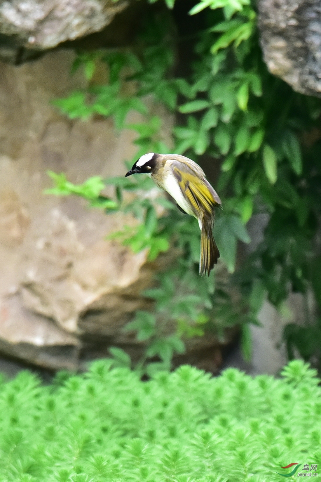 DSC_8421.JPG