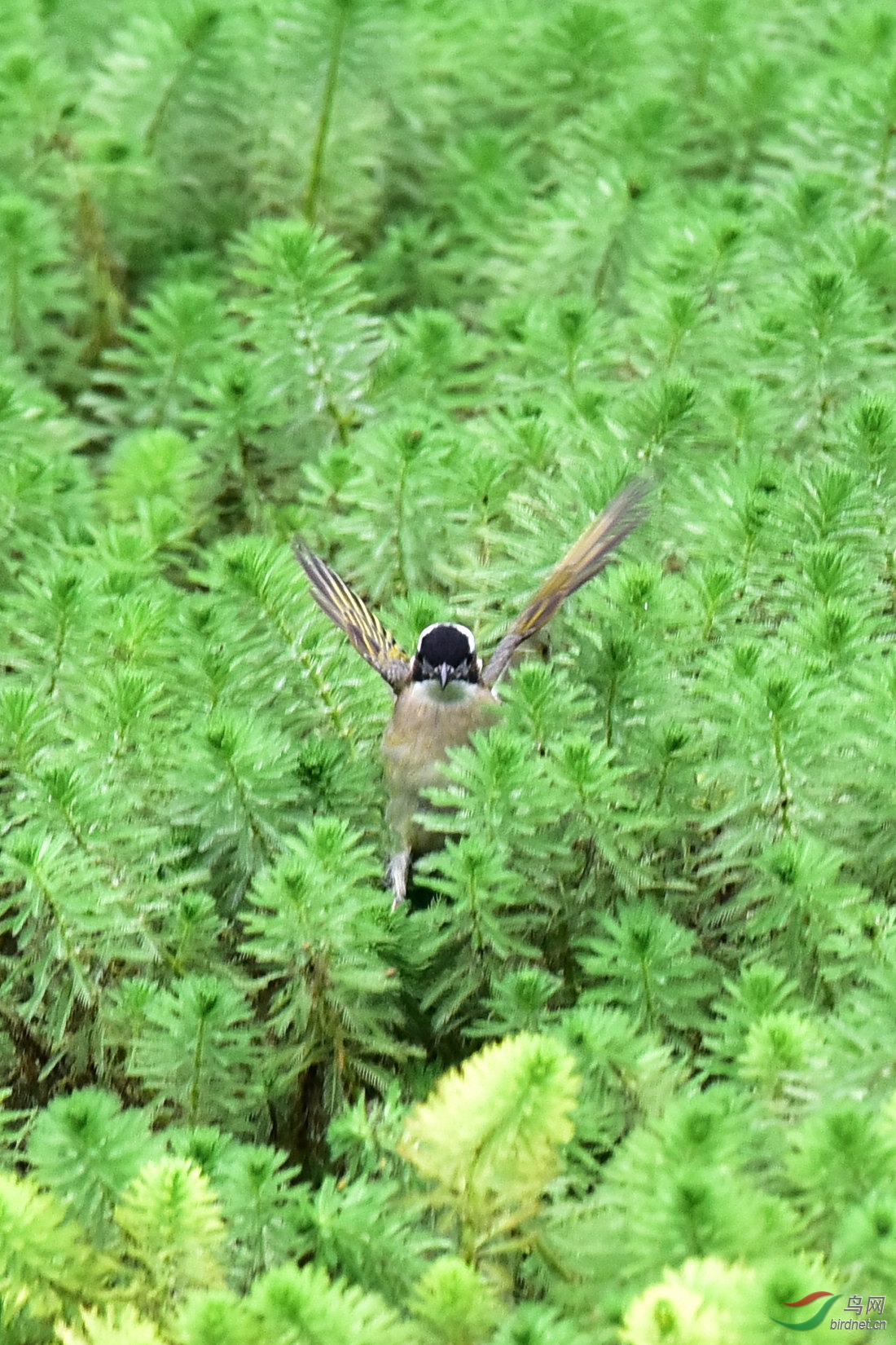 DSC_8400.JPG