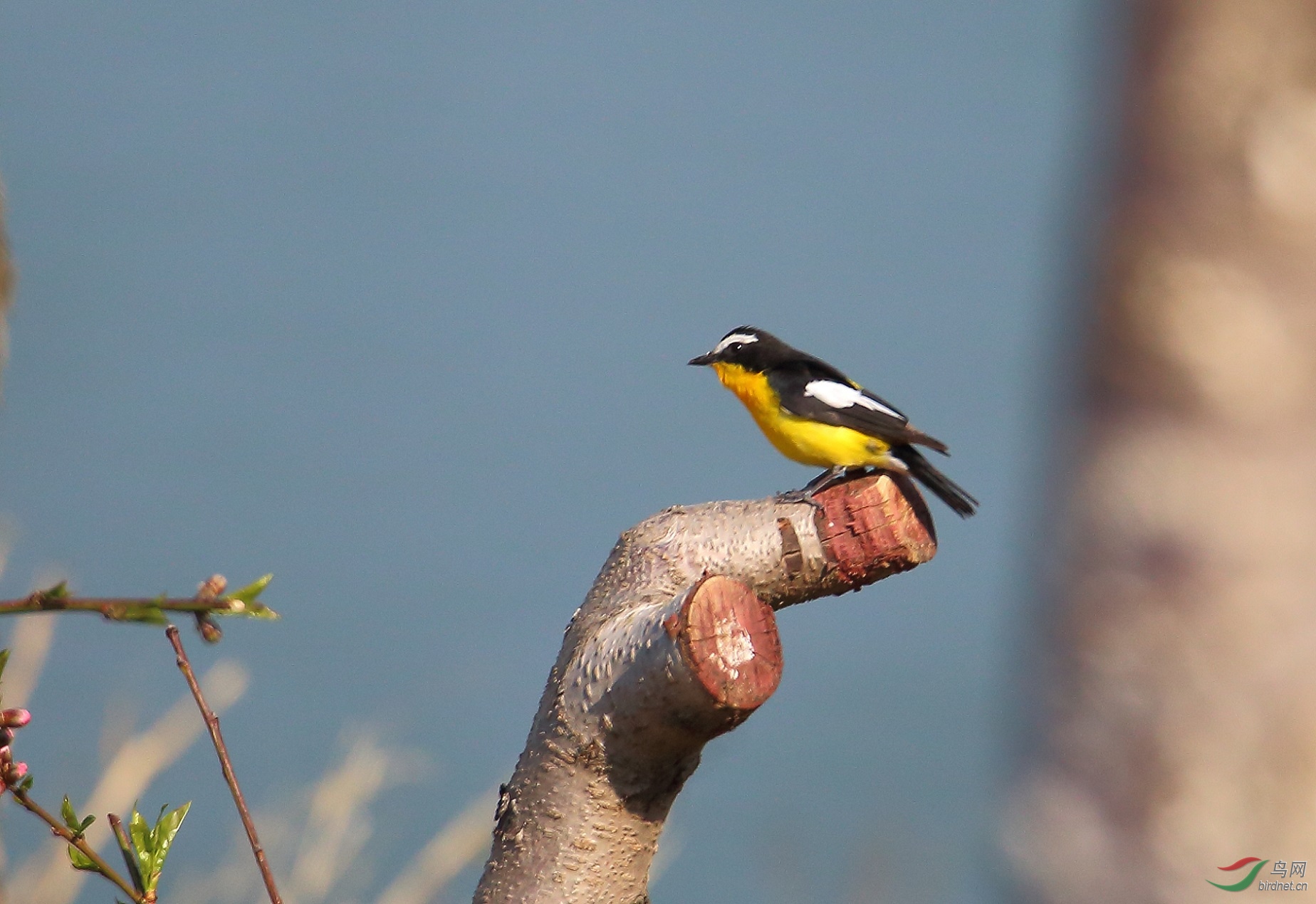 大连的公园里拍摄