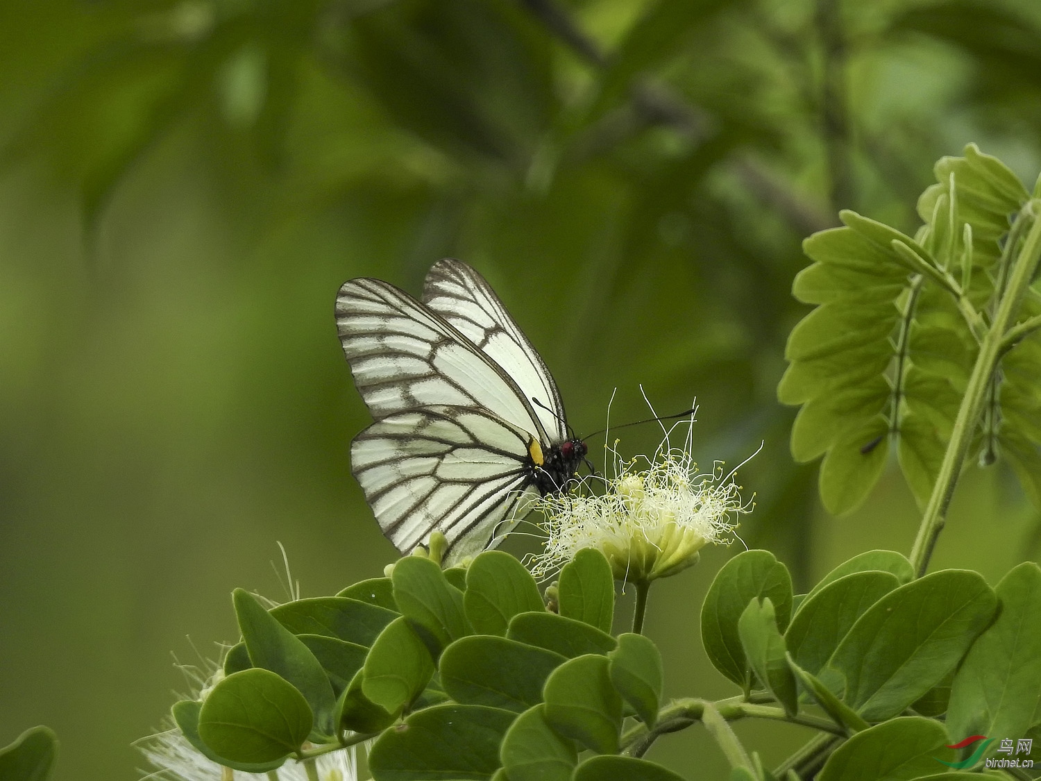 ����3������