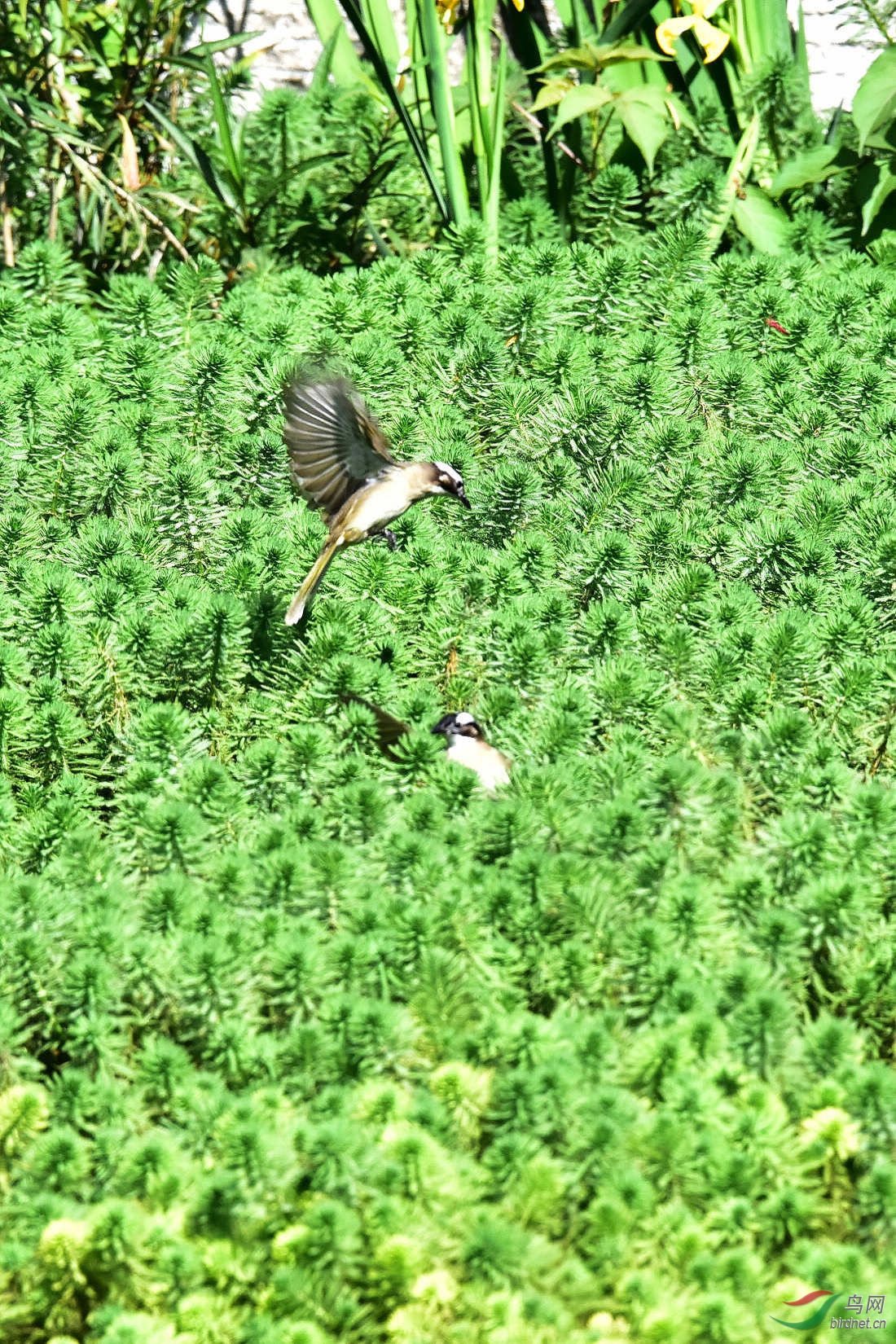 DSC_7892.JPG