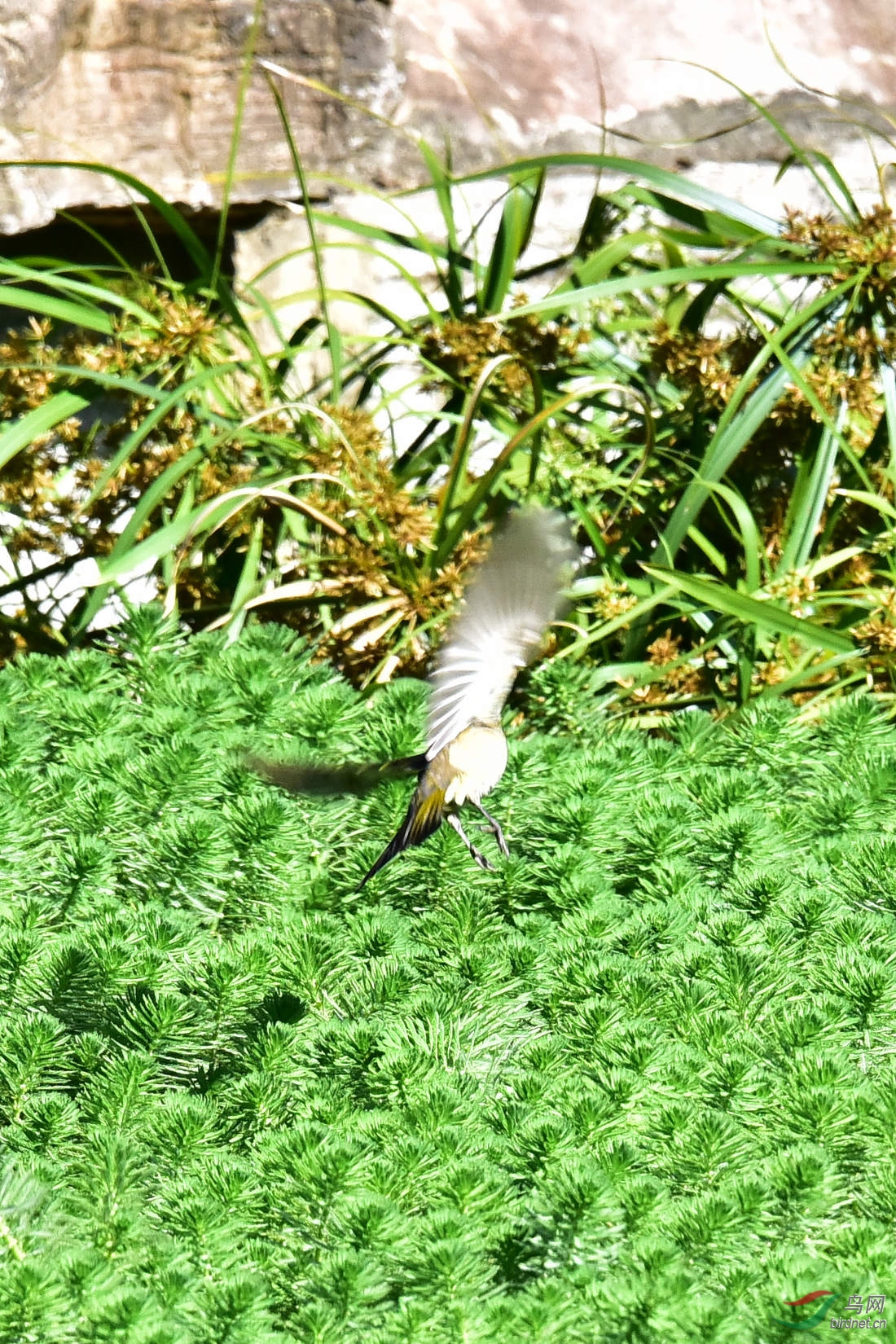 DSC_7884.JPG