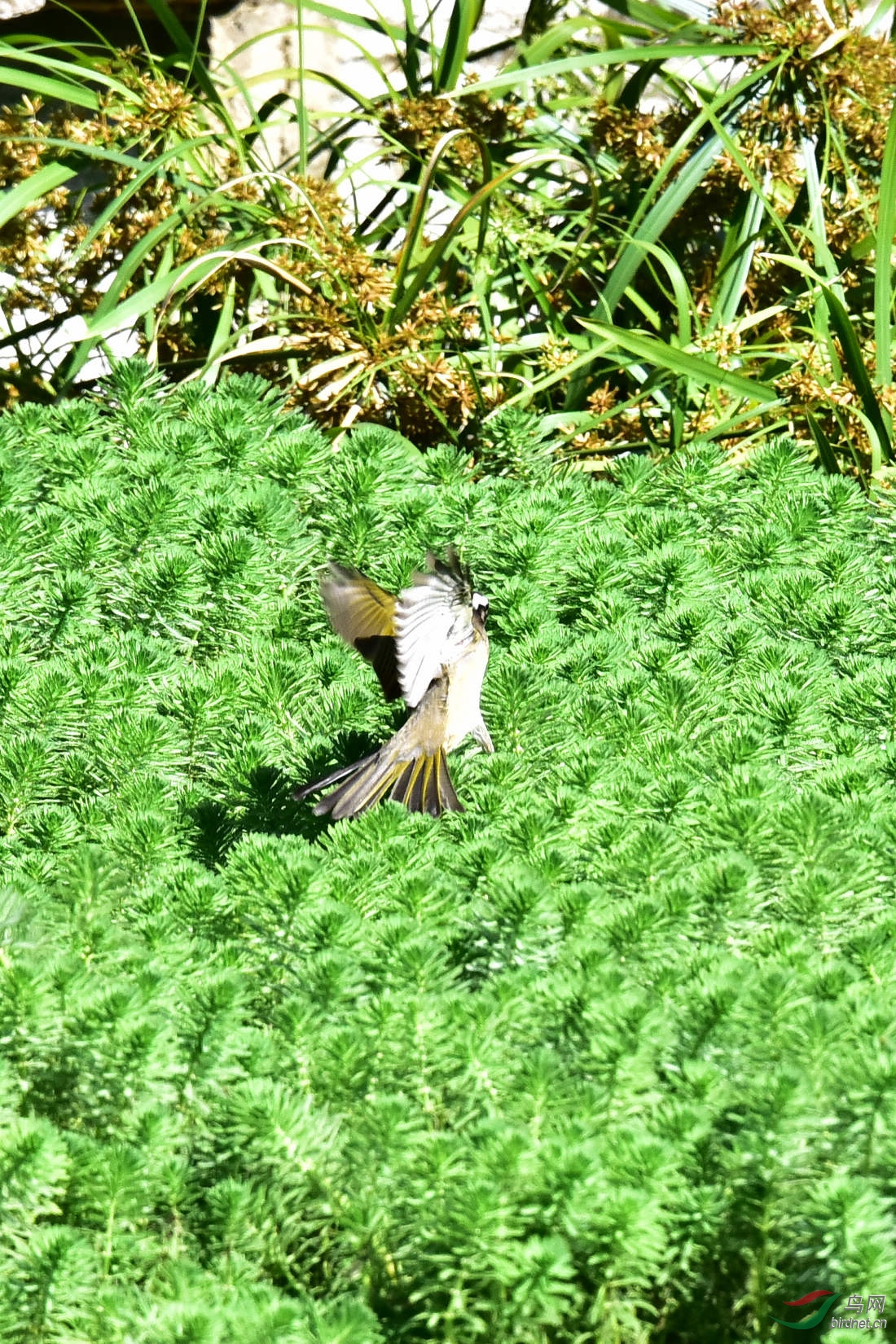 DSC_7879.JPG