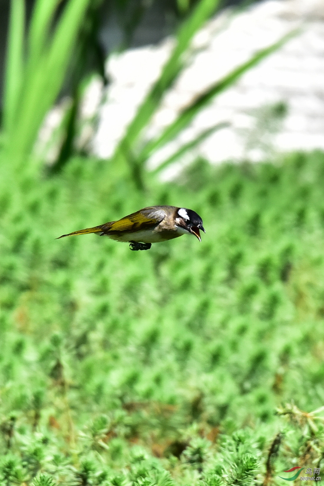 DSC_7651.JPG