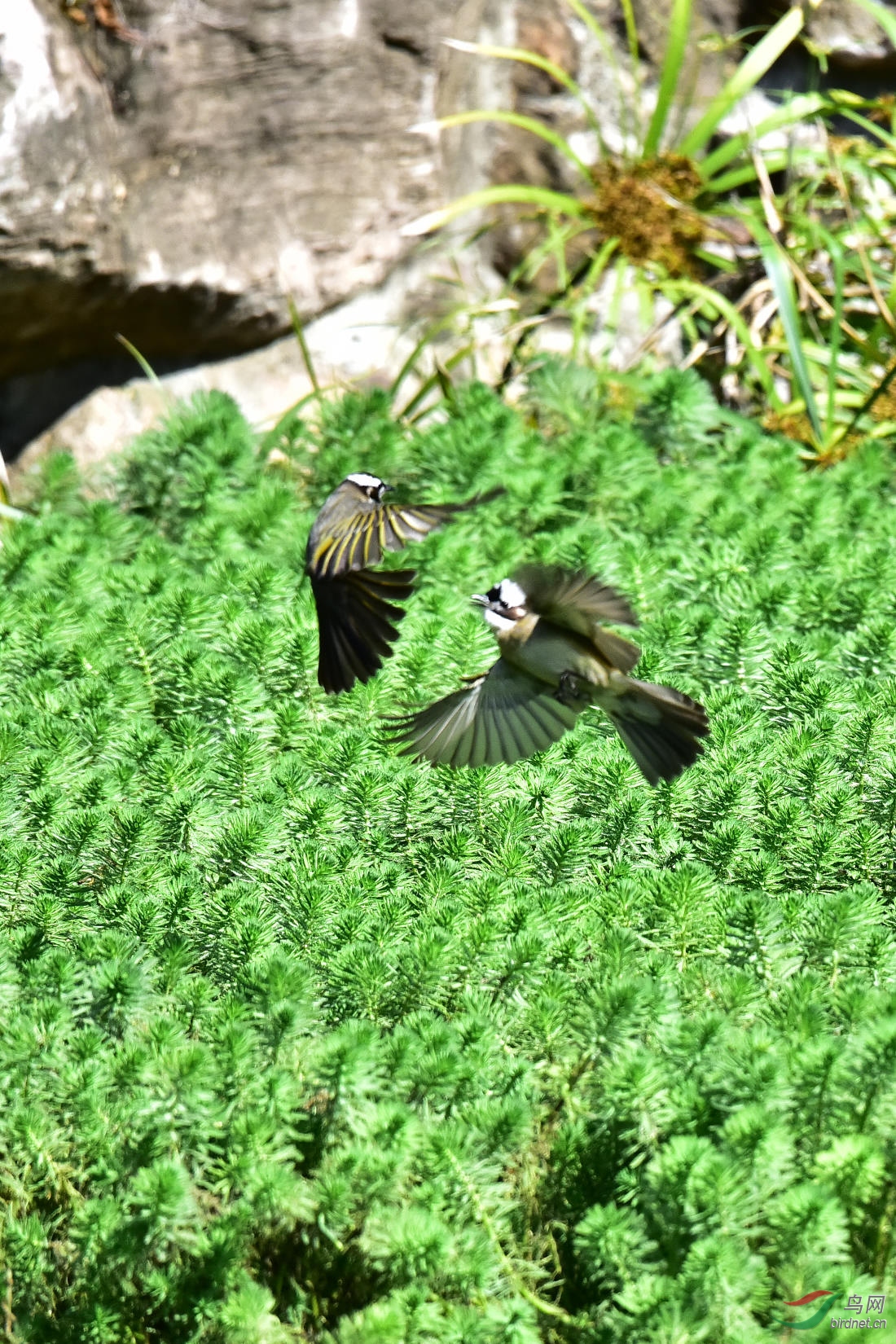 DSC_7589.JPG