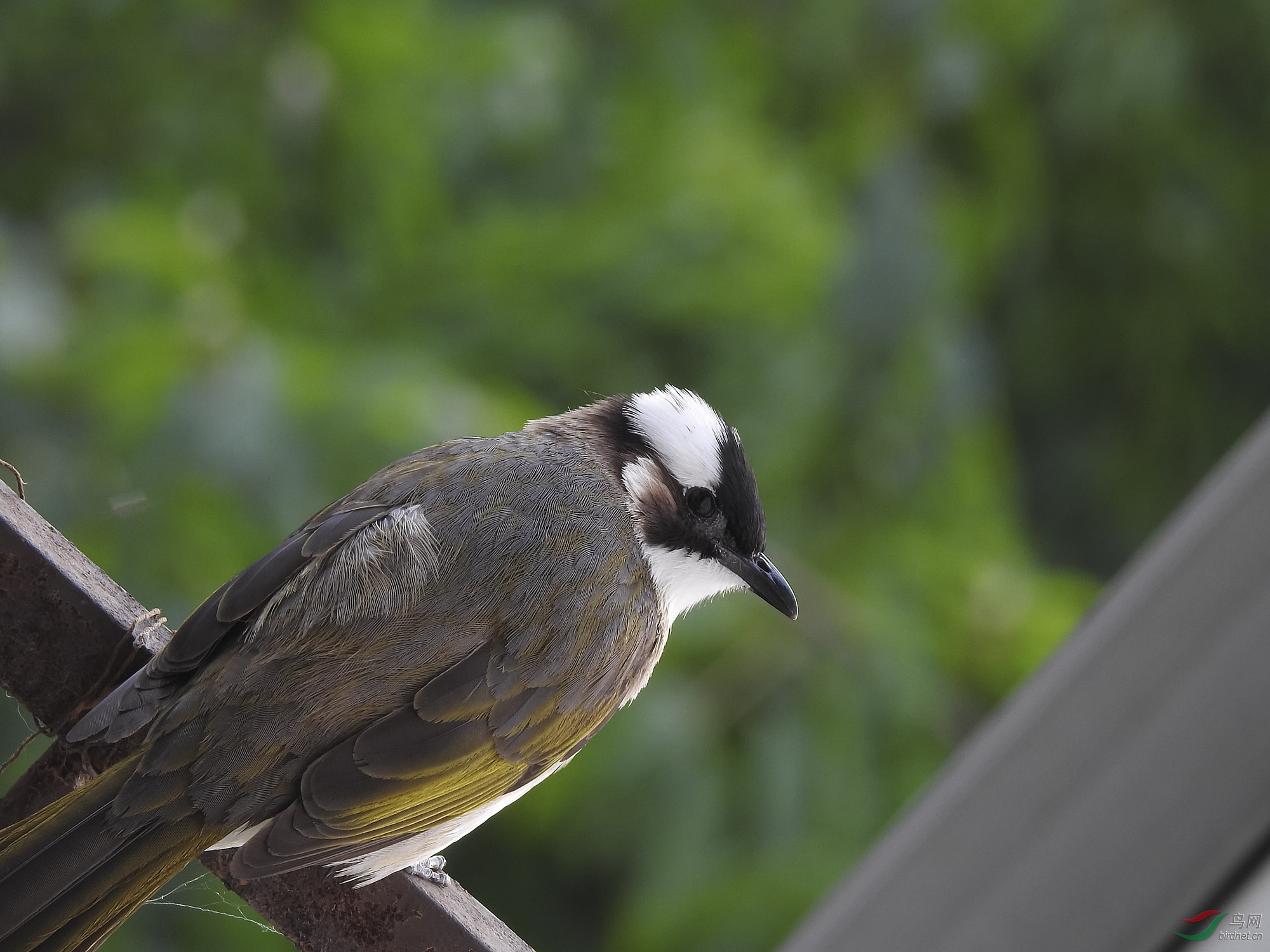 2�ף������൱��΢���ˡ�