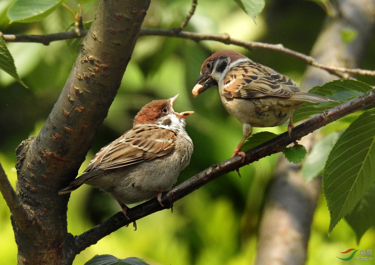 DSCN6987 ����.jpg