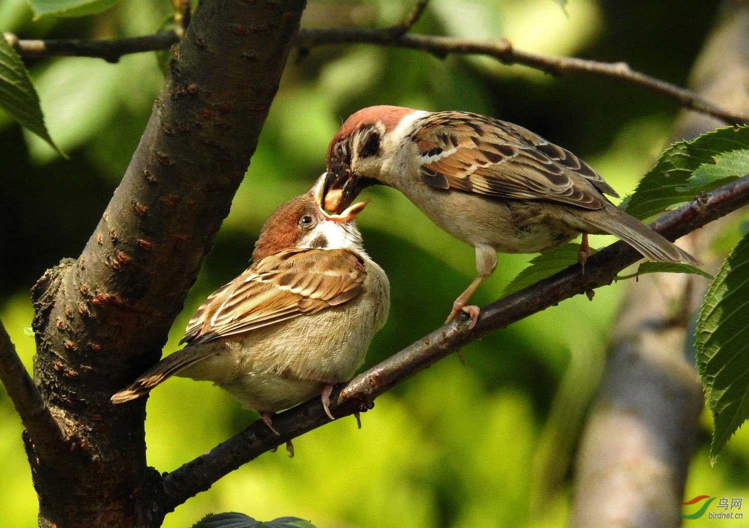 DSCN6988 ����.jpg