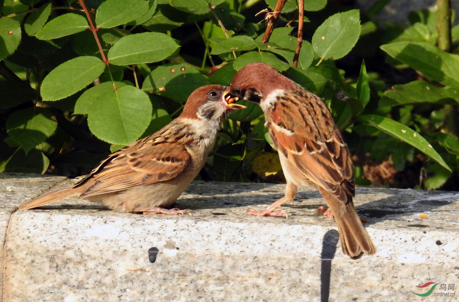 DSCN7076 ����.jpg