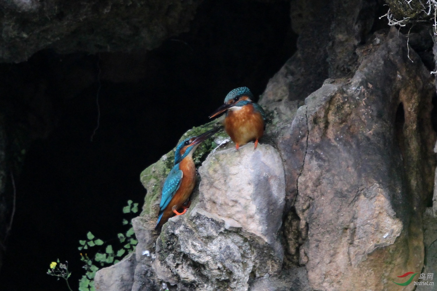 IMG_8636.JPG