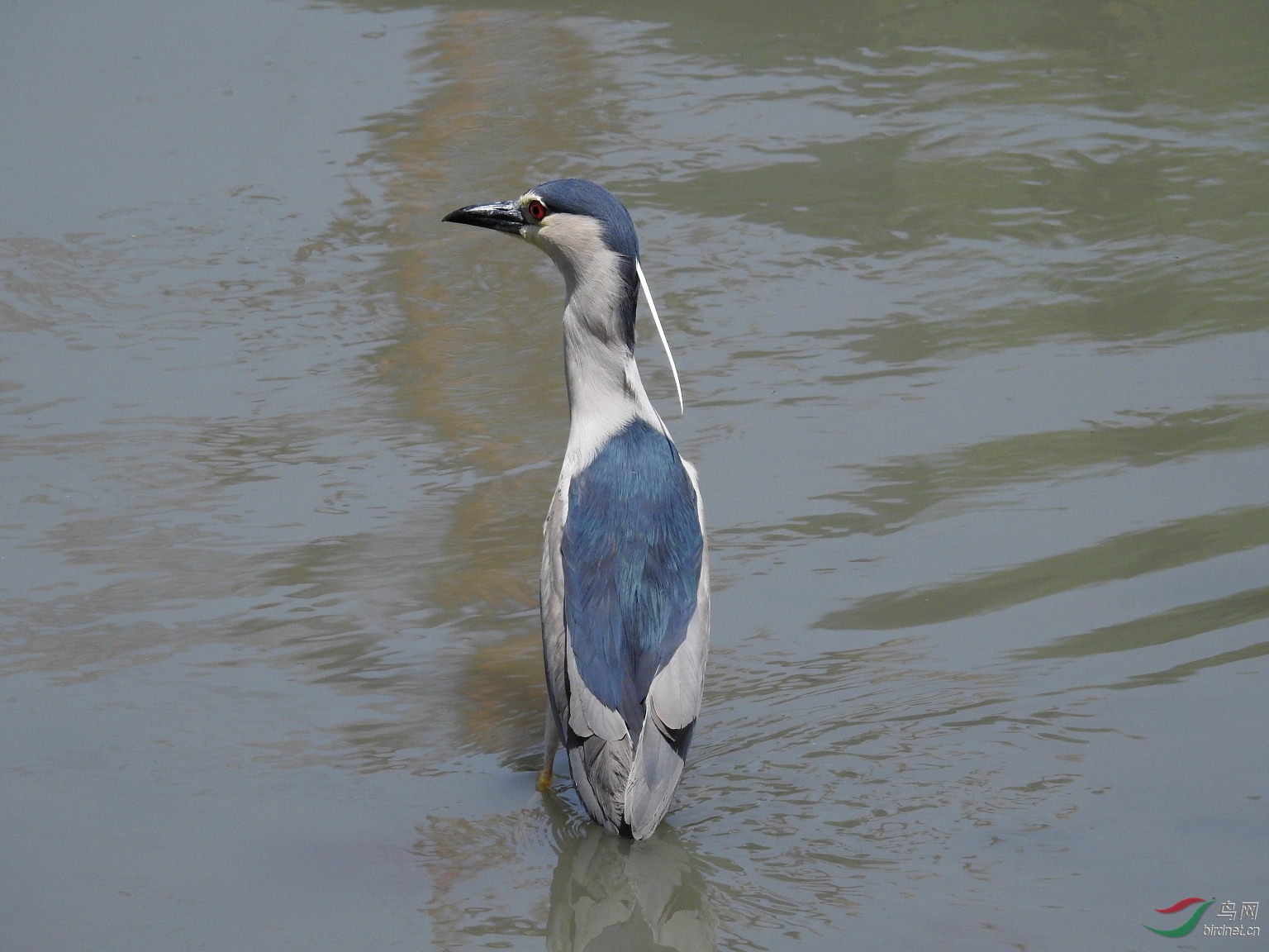 DSCN8315.JPG