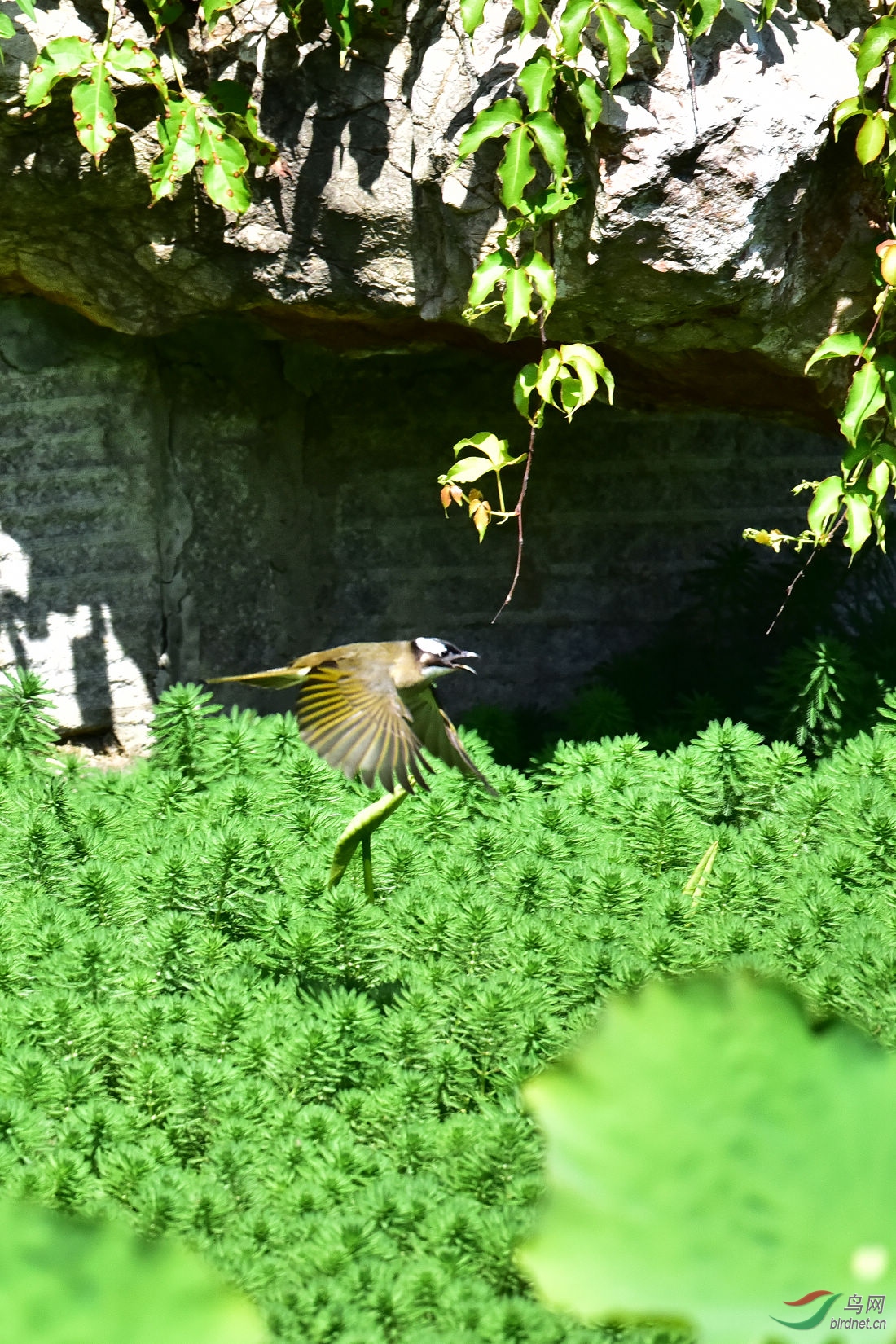 DSC_7560.JPG