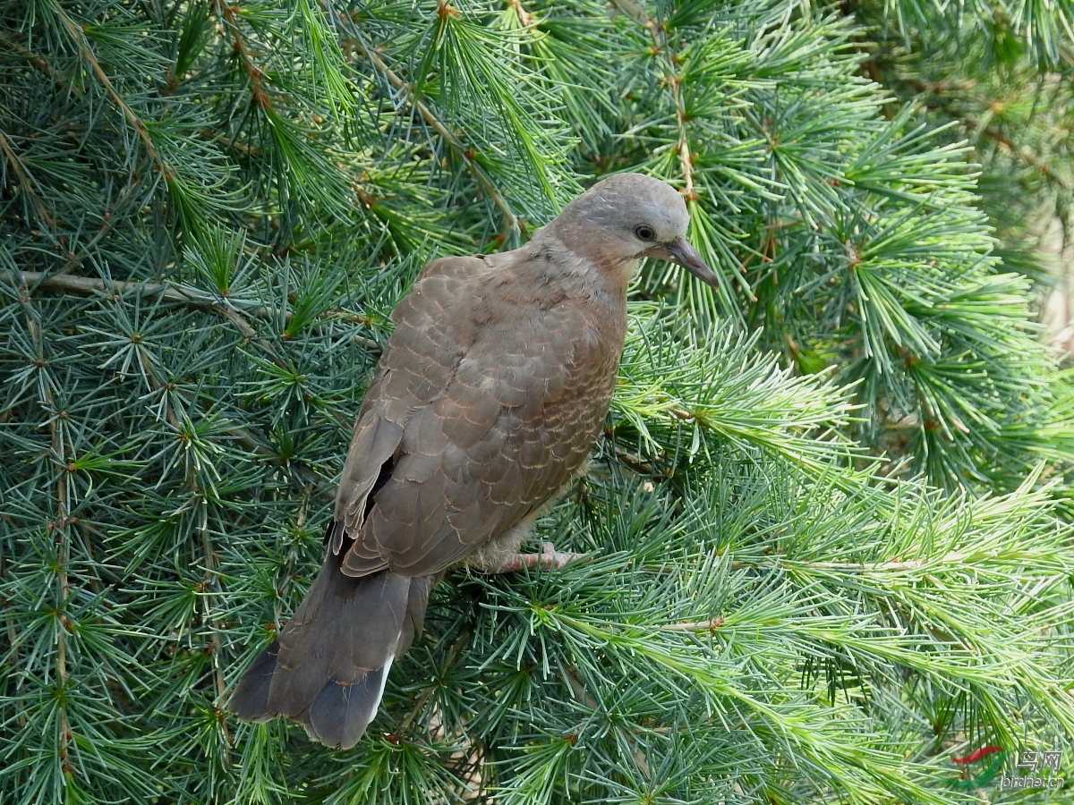 DSCN8925.JPG