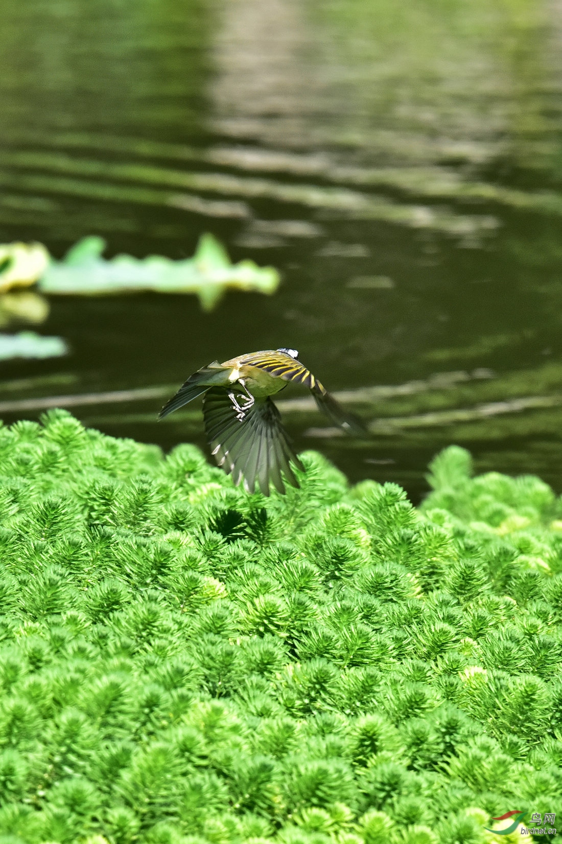 DSC_7539.JPG
