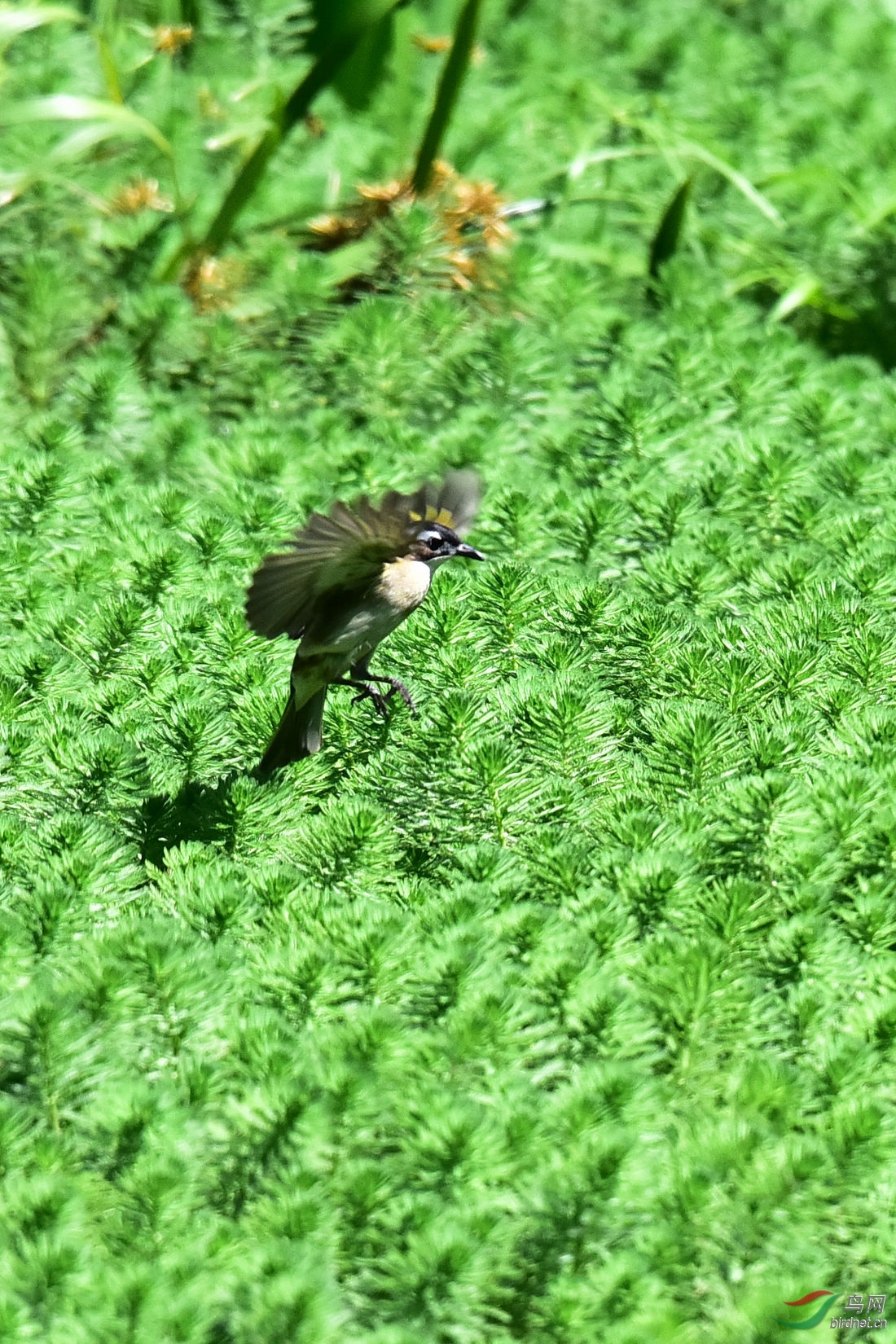 DSC_7438.JPG