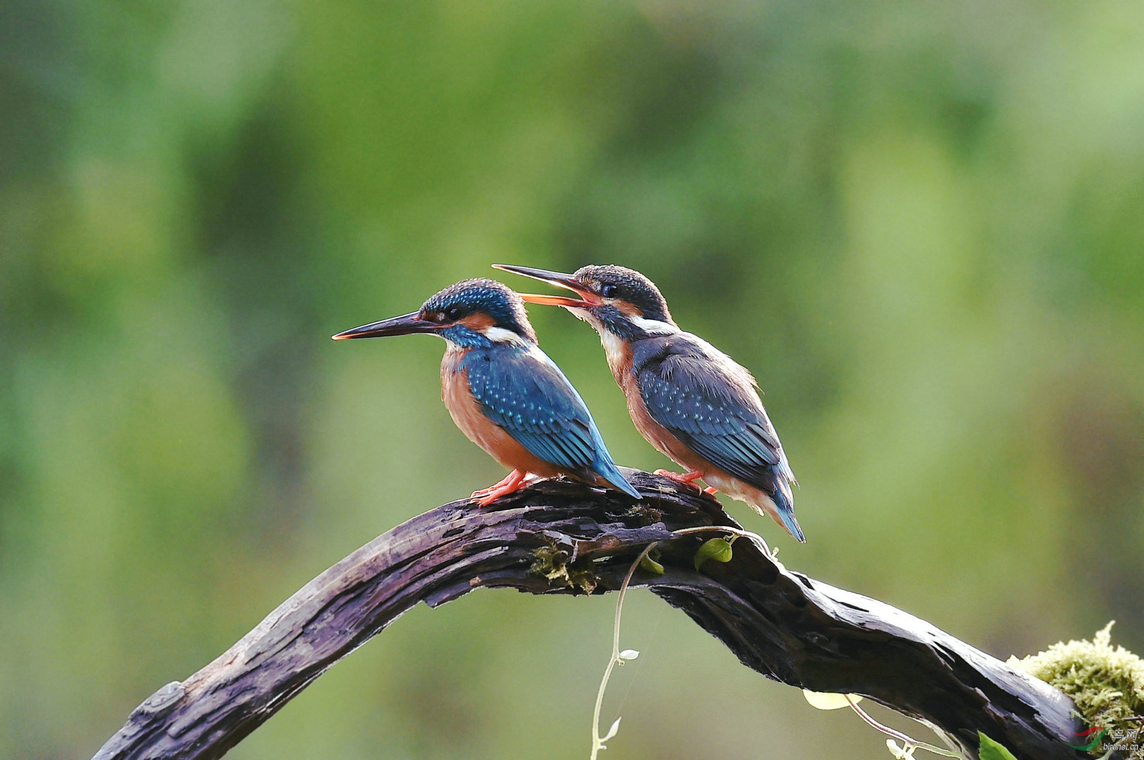 相亲相爱的一对
