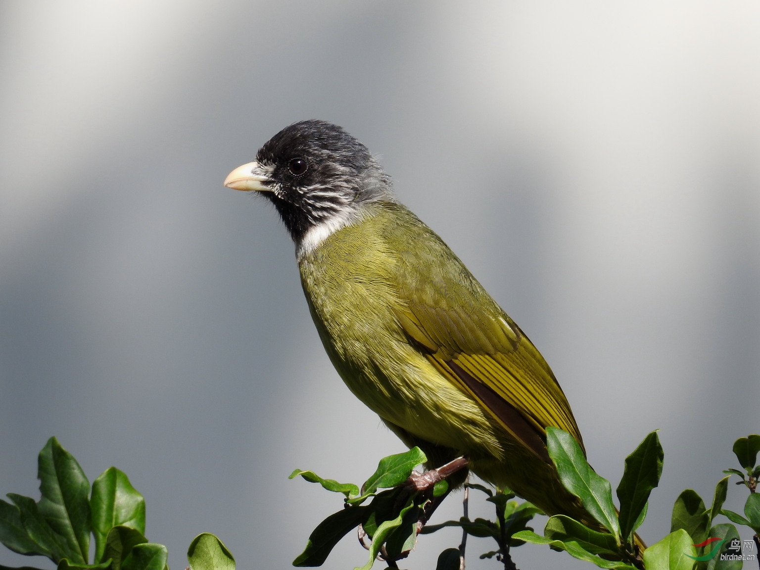 DSCN5945.JPG