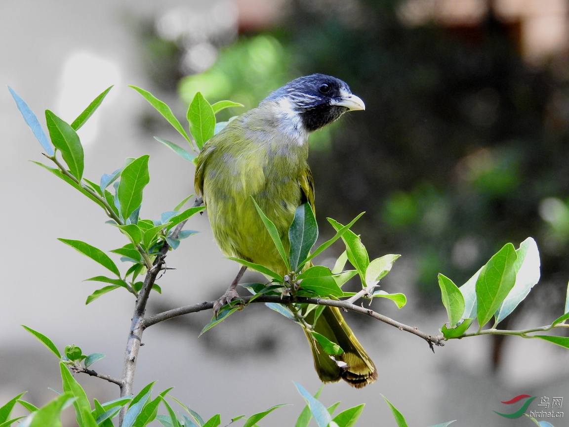 DSCN5913.JPG