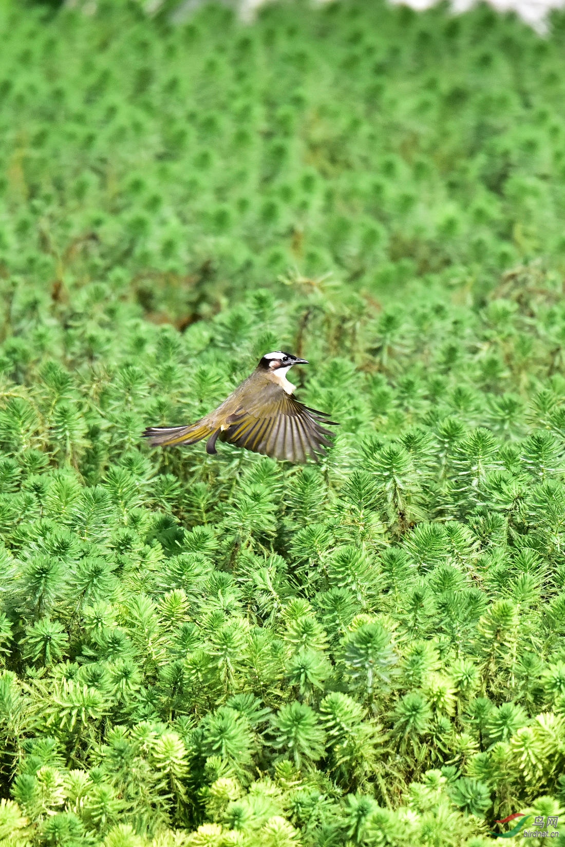DSC_7197.JPG