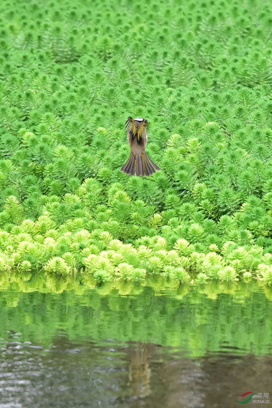 DSC_7013.JPG
