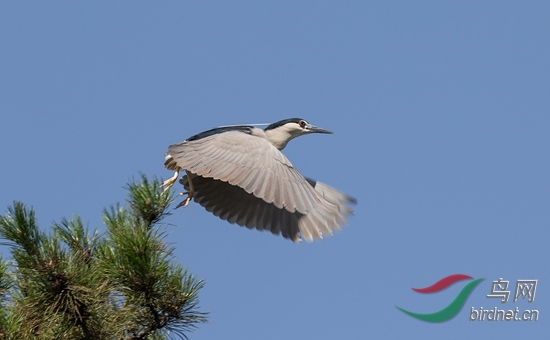 3W1A8175-1 - ����.jpg