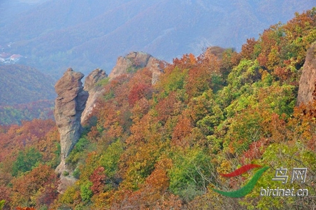 DSC_0508_����.jpg