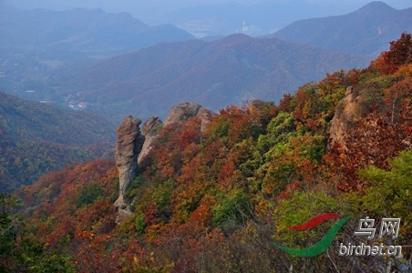 DSC_0510_����.jpg