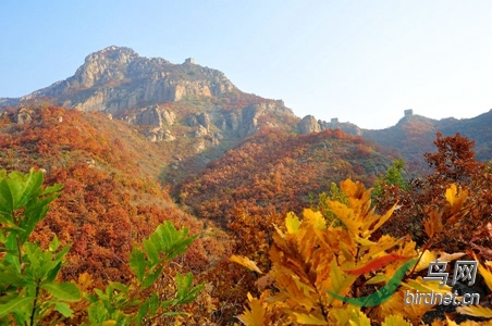 �峧��������ɫ - ����.jpg