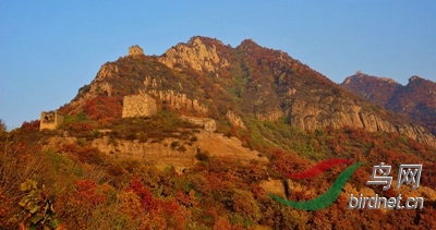 �峧��������ɫ4 - ����.jpg