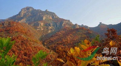 ��ɫ�еİ峧������7 - ����.jpg