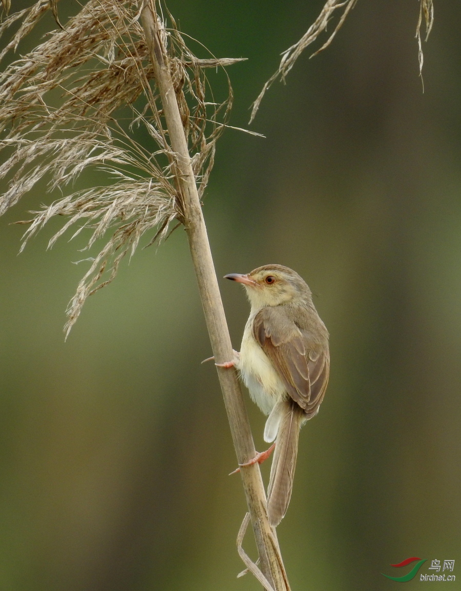 DSCN9326.JPG
