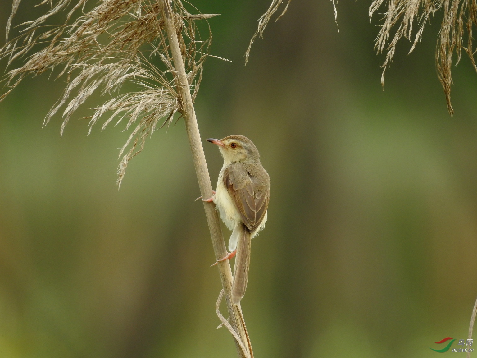 DSCN9330.JPG