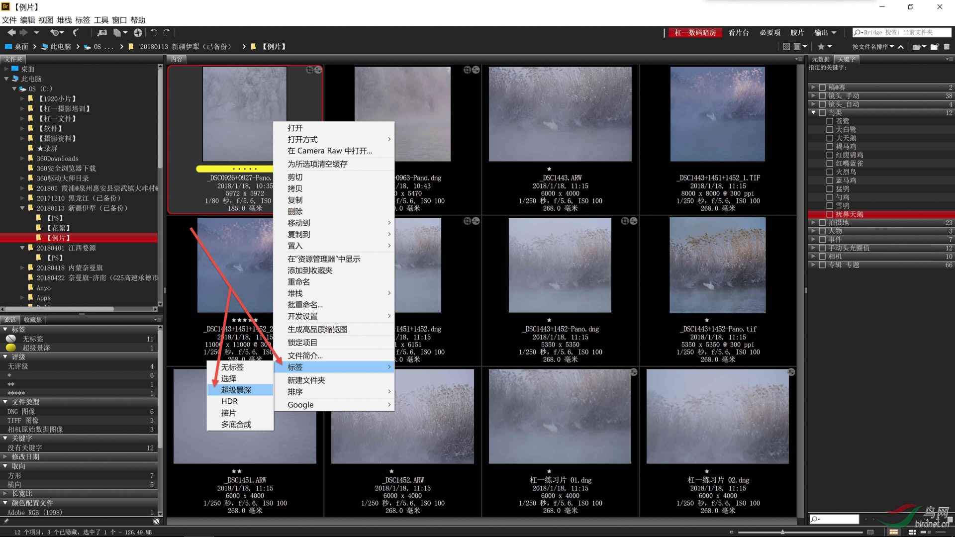 01 �ӱ�ǩ ѡ��һ������ͼƬ�ļ����һ����˵���ѡ��ǩ����5����ǩ�е�ѡ����һ���硰.jpg