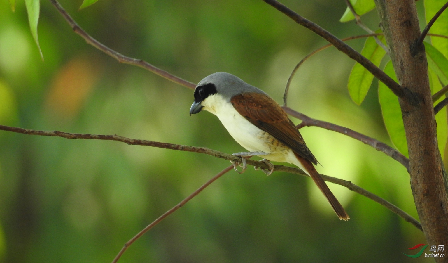DSCN9435.JPG