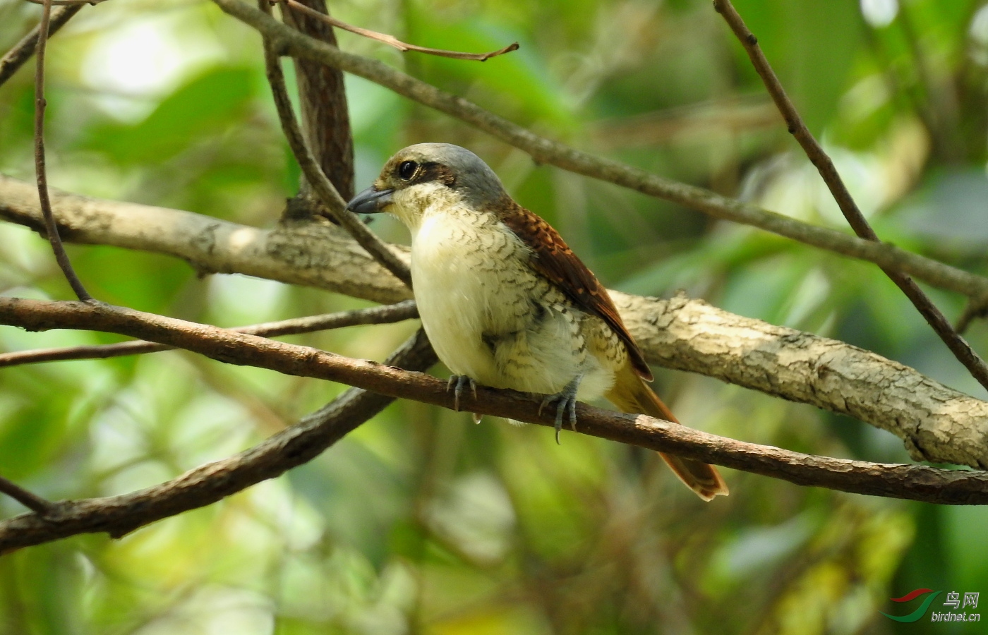 DSCN9456.JPG