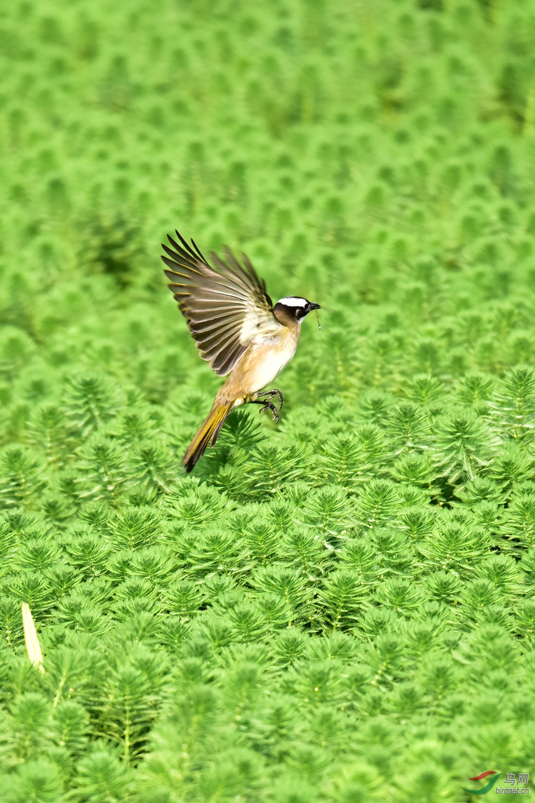 DSC_6153.JPG