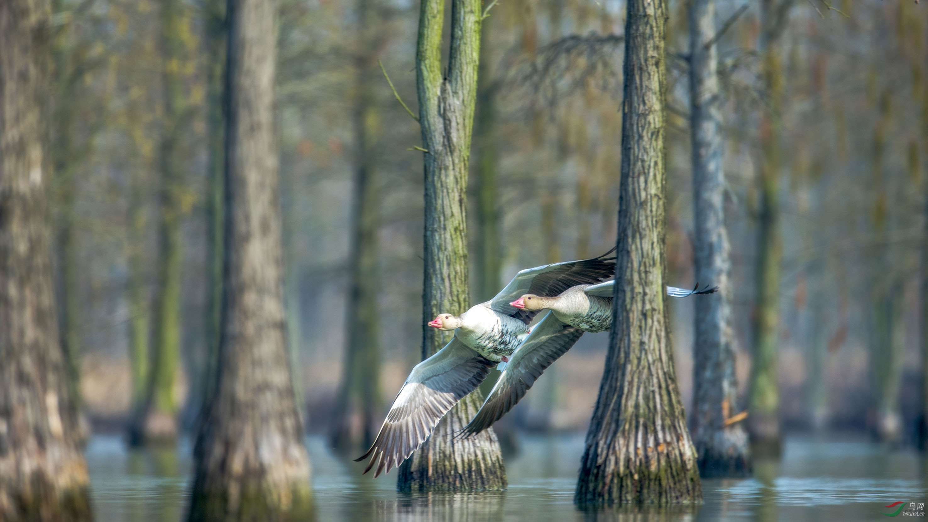 DSC_1826-2.jpg